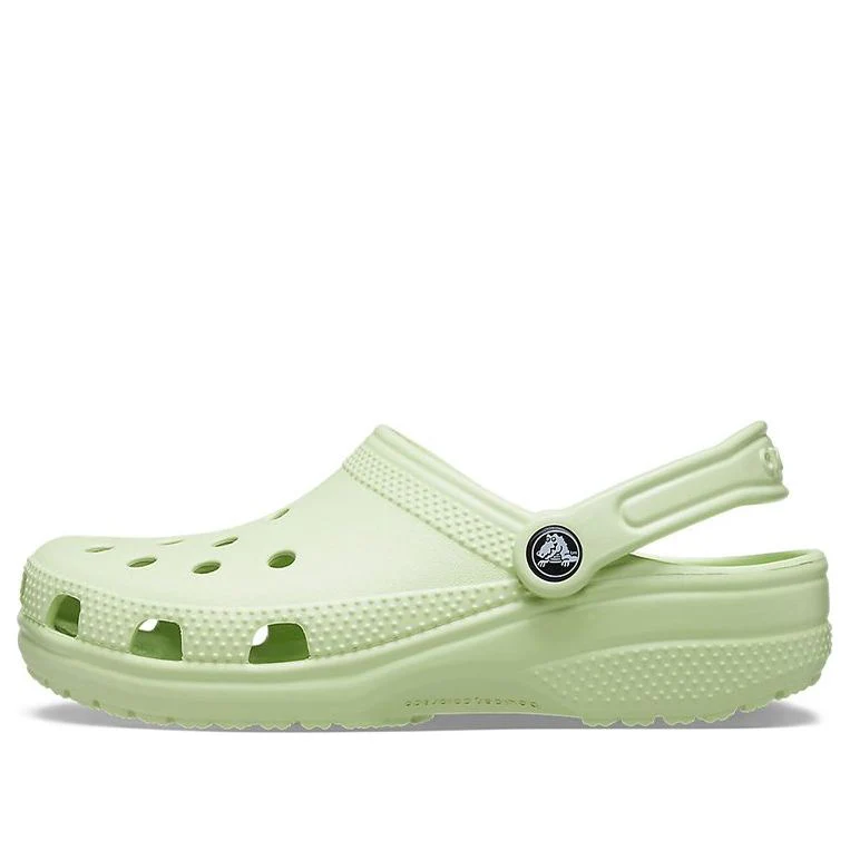 Crocs-Classic Crocs Beach Unisex Gray Green Sandals